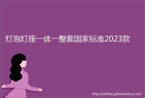 灯泡灯座一体一整套国家标准2023款