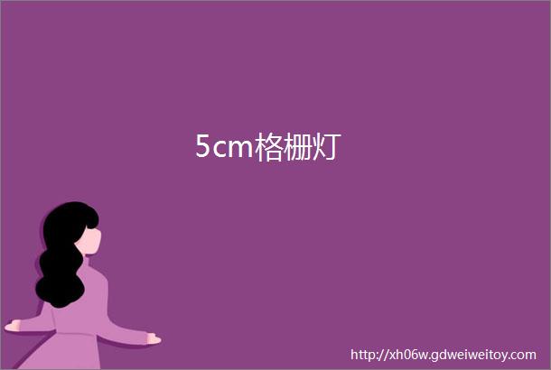 5cm格栅灯