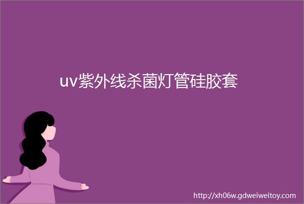 uv紫外线杀菌灯管硅胶套