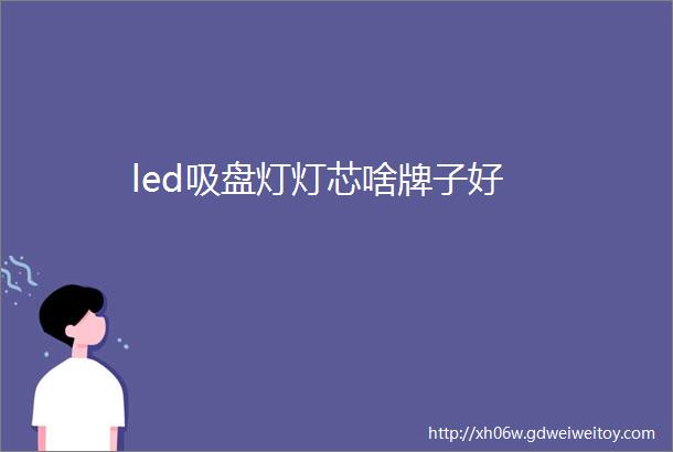 led吸盘灯灯芯啥牌子好