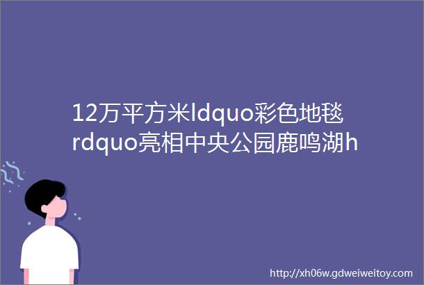 12万平方米ldquo彩色地毯rdquo亮相中央公园鹿鸣湖helliphellip