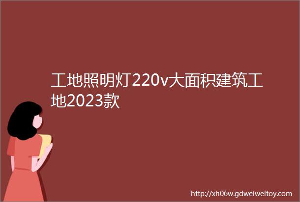 工地照明灯220v大面积建筑工地2023款