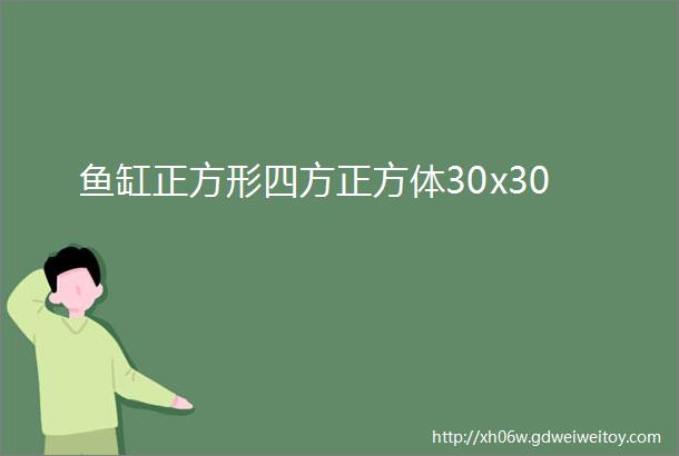 鱼缸正方形四方正方体30x30